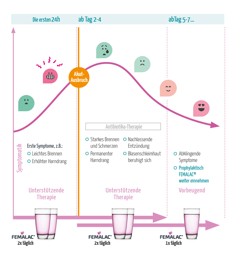 Wirkmechanismus von Femalac im Zeitverlauf